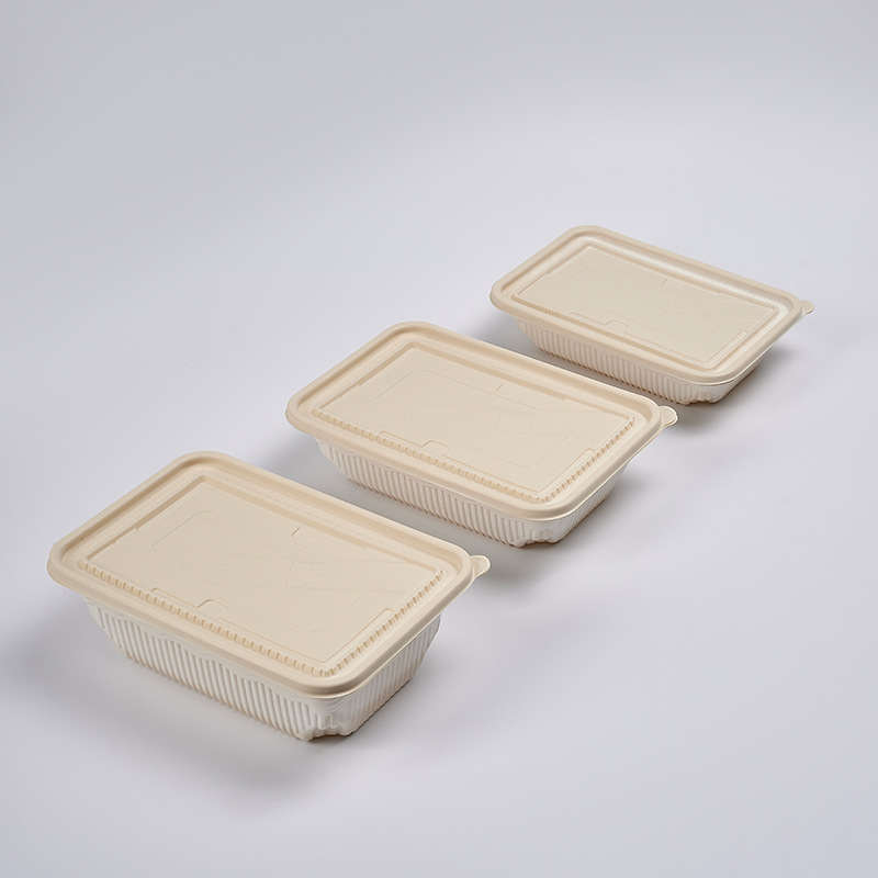 eco friendly lunch box