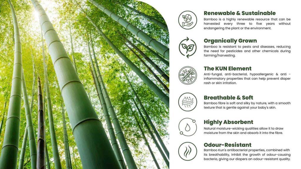 3bba549bf669f0fafe48e696af42bff5