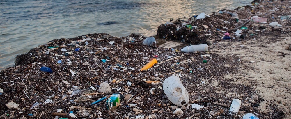plastic pollution at the ocean